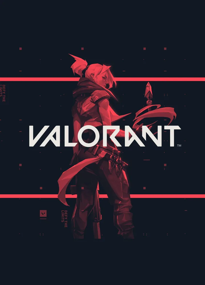 Valorant poster